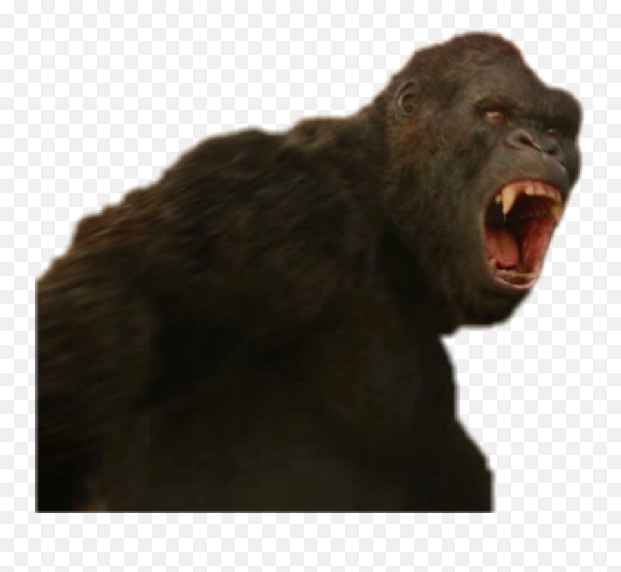 122 - Kong Skull Island Png,Kong Png