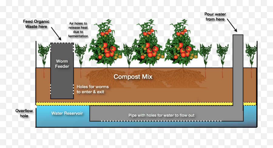 Wicking Bed Gardens - Bed Wicking Beds Garden Beds Taproots And Fibrous Roots Png,Flower Bed Png