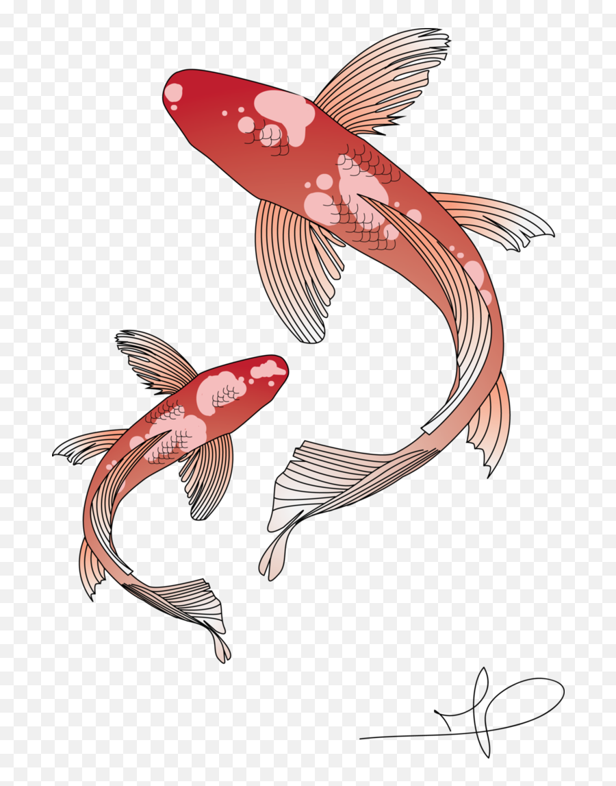 Koi Fish Transparent U0026 Png Clipart Free Download - Ywd Transparent Background Koi Fish Transparent,Fish Png