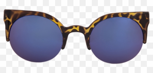 Silk Lady Tortoise Flash - Reflection Png,Concha Png