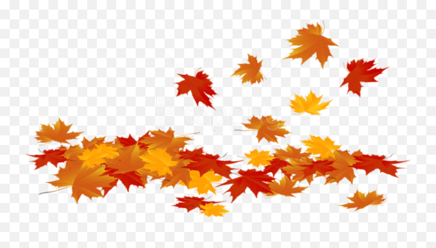 Download Fallen Leaves Clipart - Fall Leaves Clipart Png,Fall Background Png