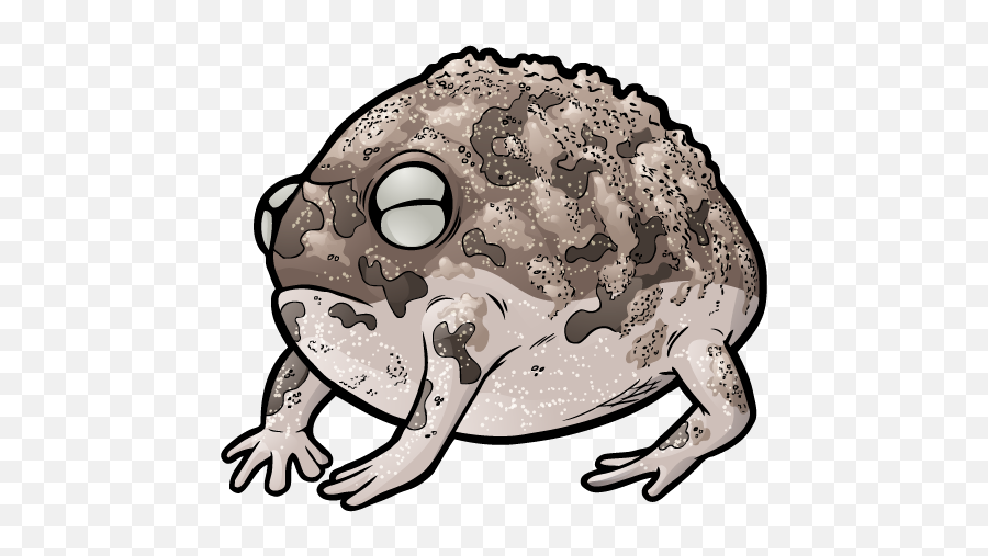 Zoo Wild - Desert Rain Frog No Background Png,Frog Transparent Background