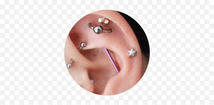 Orbital Piercing Mn Nd Il U0026 Mt Almost Famous Body - Body Piercing Png,Transparent Piercings