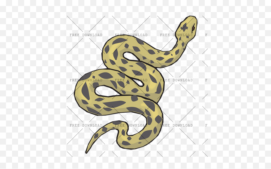 Anaconda Png Image With Transparent Background - Photo 6 Quaternary Consumer,Snake Transparent Background