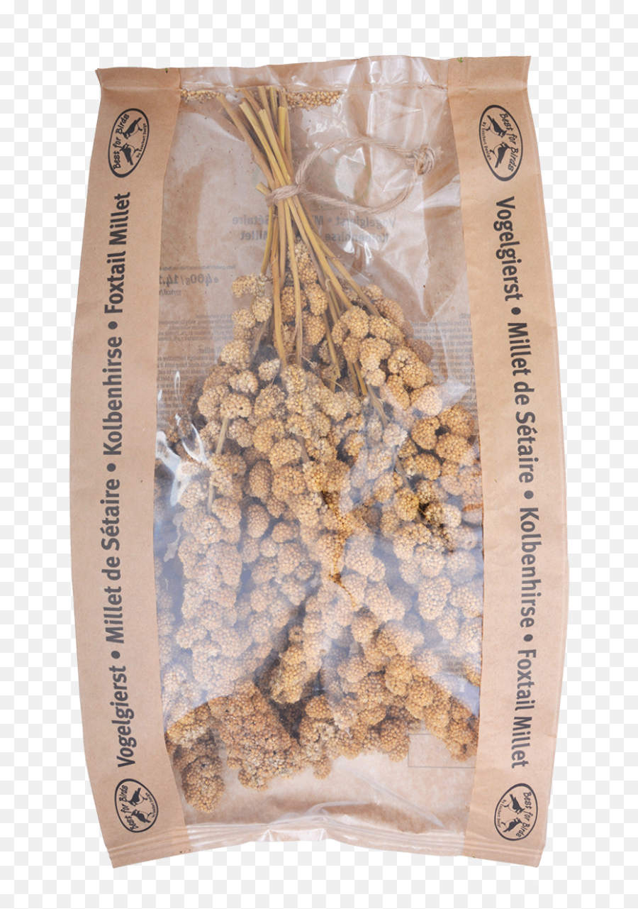 Fox Tail Millet - Esschert Design Pumpkin Seed Png,Fox Tail Png