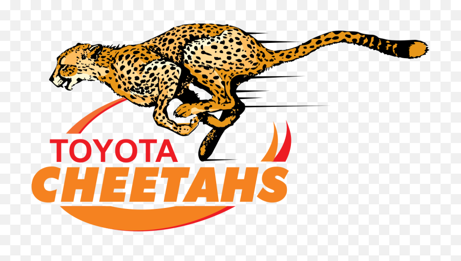 Cheetah Png Transpa Images Clip Art - Cheetahs Rugby Logo,Cheetah Png