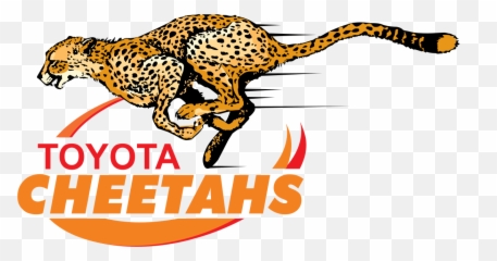 Cheetah Png Transpa Images Clip Art - Cheetahs Rugby Logo,Cheetah Png