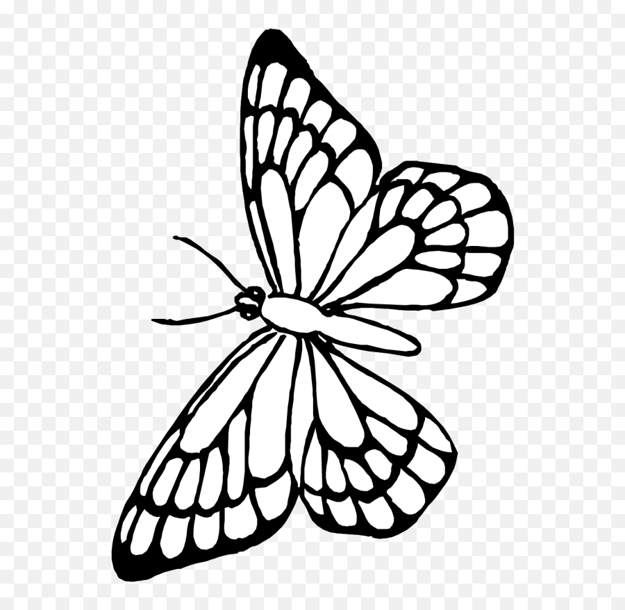 Pin Butterfly Outline Clipart - Free Printable Butterfly Coloring Pages Png,Butterfly Outline Png