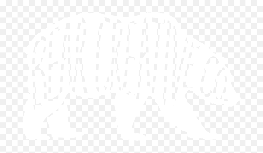 Bear Creative Co - Google Cloud Logo White Png,Bear Transparent