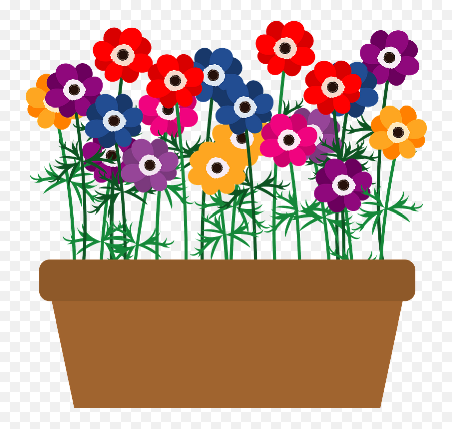 Poppy Anemone Flower Clipart - Transparent Flower Pot Clipart Png,Anemone Png