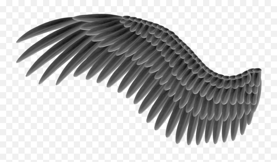 Demon Wings Png Images Collection For - Black Wing Transparent Background,Black Angel Wings Png