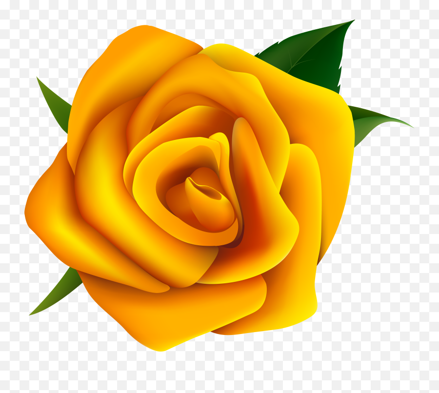 Yellow Rose Vector - Yellow Rose Vector Png,Rose Flower Png