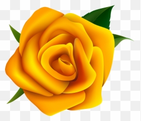 Yellow Rose Vector - Png