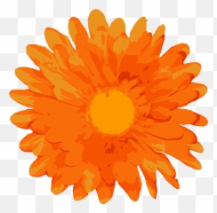 Download Random Free Flower Vectors - Orange Flowers Png