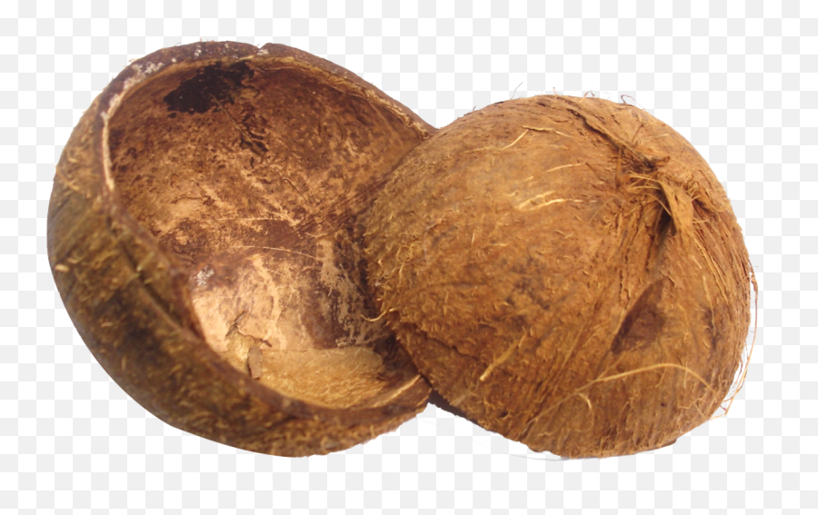 Coconut Shell Png Image - Purepng Free Transparent Cc0 Png Coconut Shell Png,Coconut Transparent Background