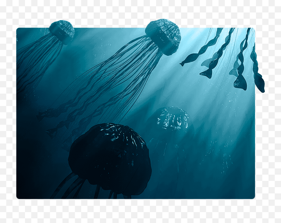 Download Underwater Hd Png - Underwater,Underwater Bubbles Png