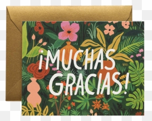 Muchas Gracias - Gracias Thank You Cards Png,Gracias Png