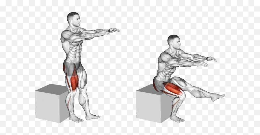 Single Leg Squat To Box Bodyweight Training - Single Leg Bodyweight Box Squat Png,Squat Png