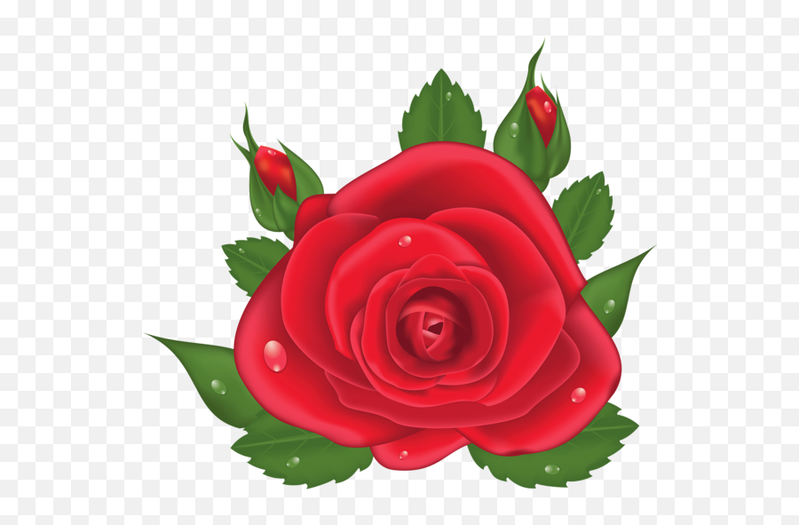 Red Rose Png Roses Love Clip Art Plants - Flores Vermelha Desenho Png,Red Roses Png