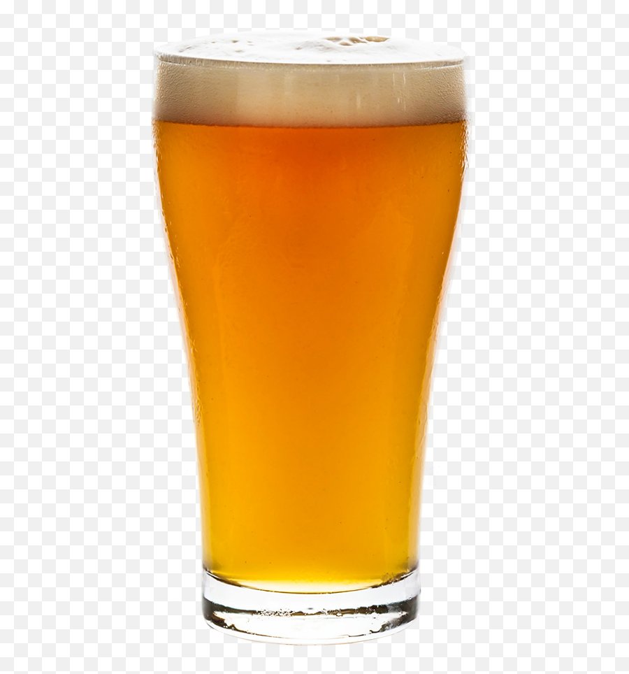 Index Of Wp - Contentuploads201908 Beer Glassware Png,Trigo Png