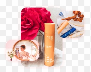 Slash Haircare Octoly - Blog Garden Roses png