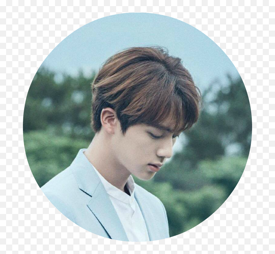 Jin Ouo - Bts Icon Love Yourself Full Size Png Download 2018 Bts Kim Seok Jin,Bts Love Yourself Logo