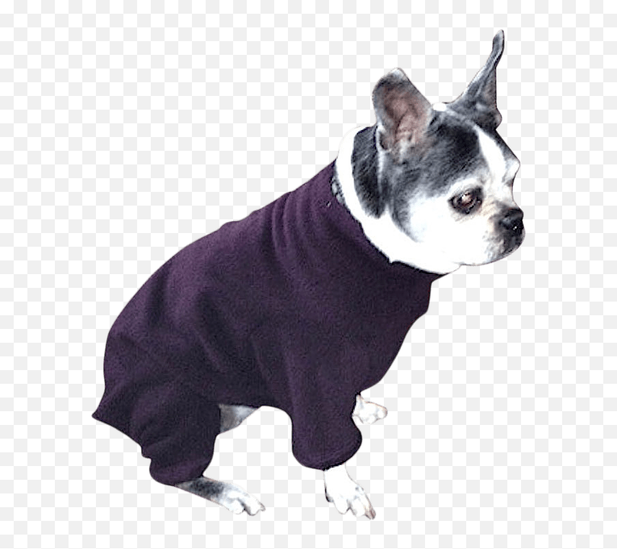 Pug Boston Terrier U0026 French Bulldog Heavy Fleece Bodysuit - Baroque Plum Dog Clothes Png,Boston Terrier Png