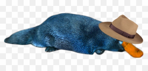 Perry The Platypus In Reallife Png - Perry The Platypus Real Life,Perry The Platypus Png