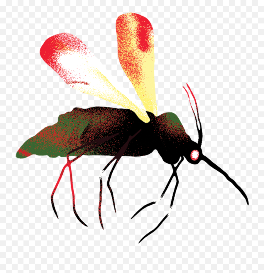 Alphabetu0027s Latest Project Is Birth Control For Mosquitoes - Bee Png,Mosquito Transparent