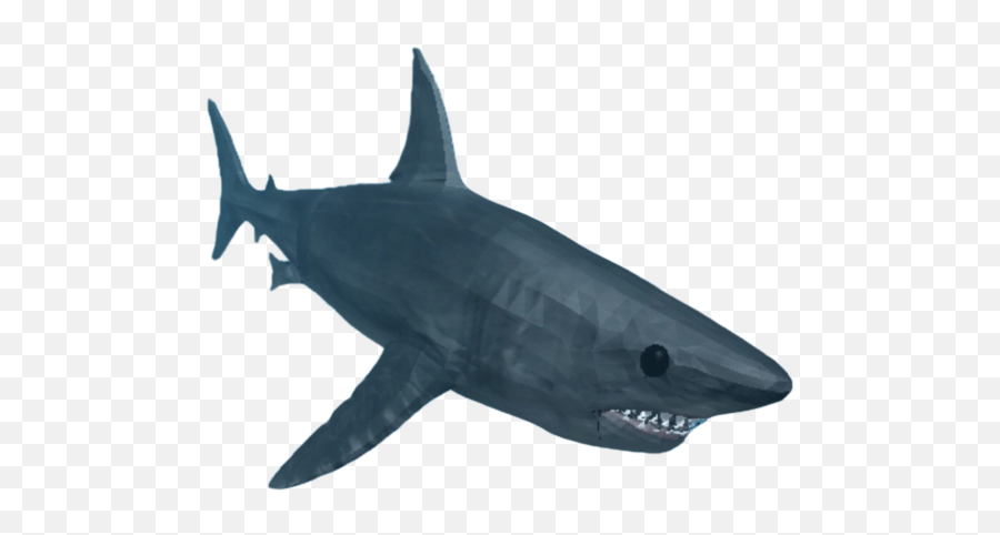 Shark - Whatever Floats Your Boat Roblox Shark Png,Shark Png