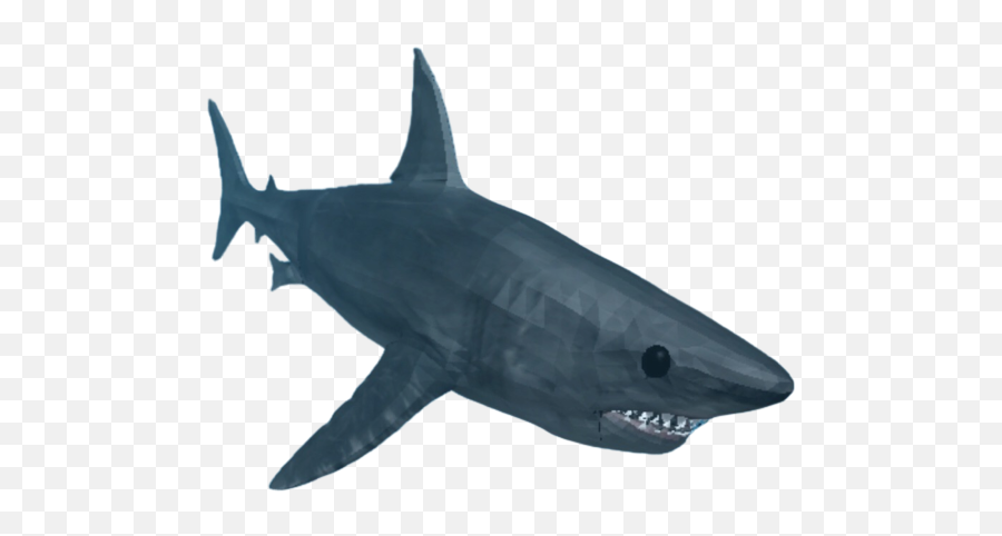 Shark - Whatever Floats Your Boat Roblox Shark Png,Shark Png - free ...