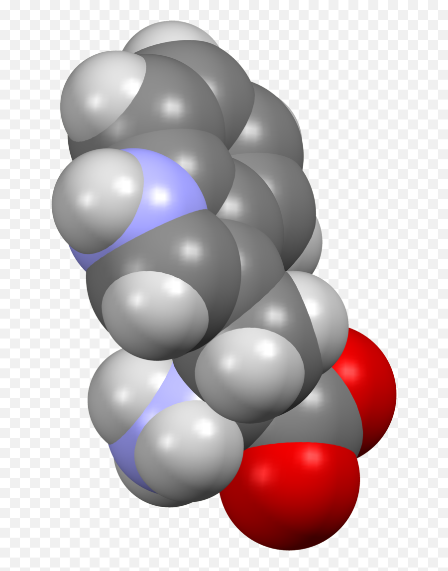 Tryptophan - Wikipedia Meaning Of Tryptophan Png,Drug Manufacturer Icon
