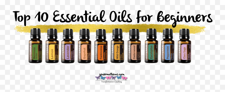 Aroma Of Fall U2013 Genie Mathews - Oils Doterra Png,Eucalyptus Icon