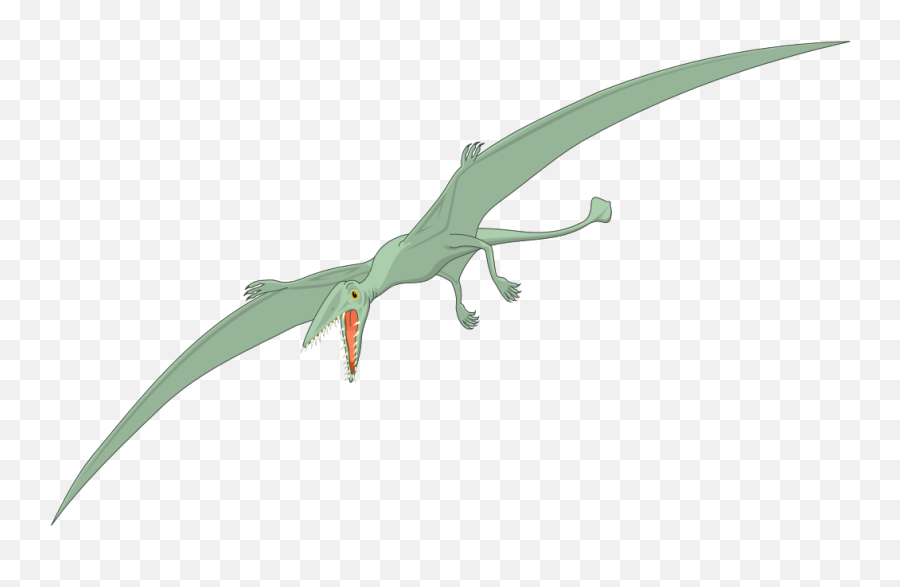 Fangs Clip Art - Dinosaur Png,Pterodactyl Png