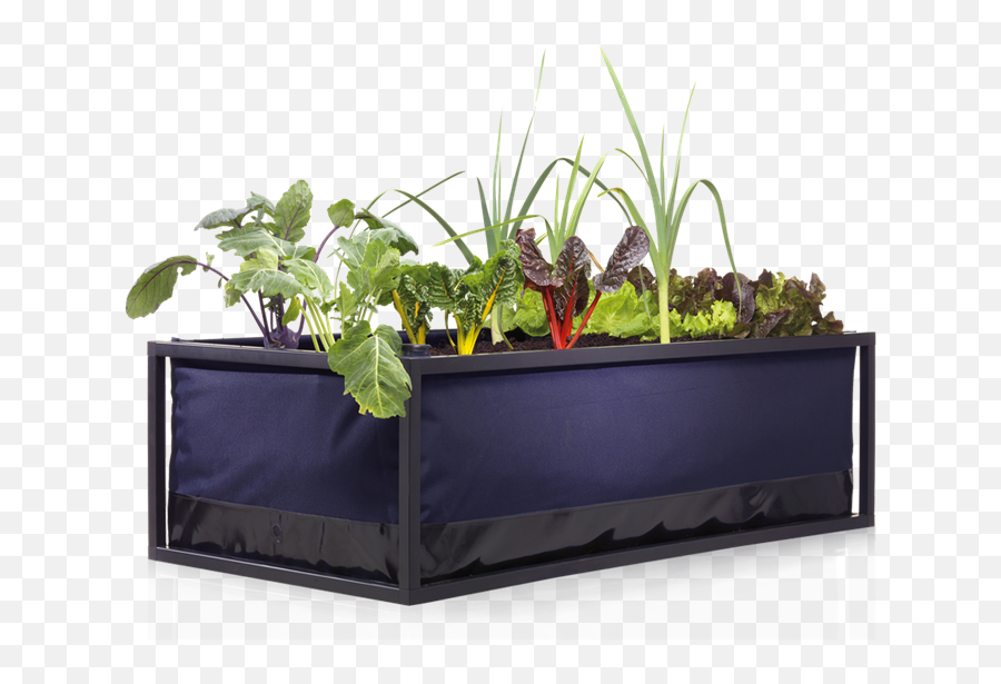 Noocity Growbed - Urban Gardening Png,Flower Bed Png