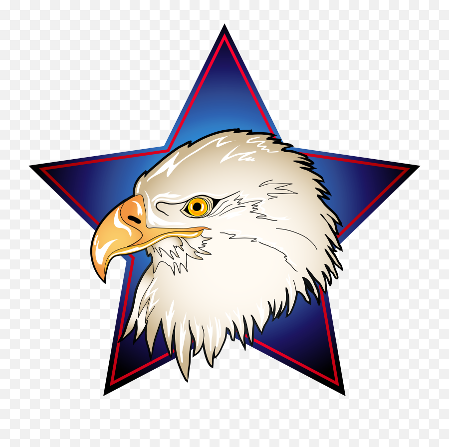 Eagle Head In Blue Star Transparent Png Clip Art Image - Clip Art Transparent Eagle,Bald Head Png