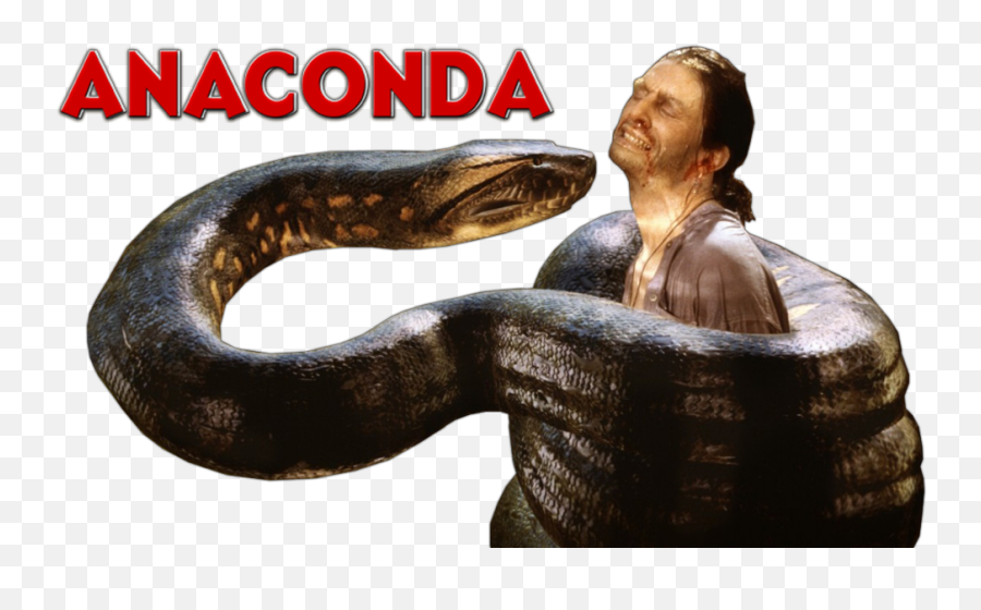 Png Transparent Anaconda - Anaconda Png,Anaconda Png
