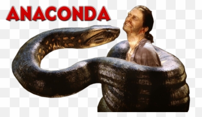 Png Transparent Anaconda - Anaconda Png,Anaconda Png