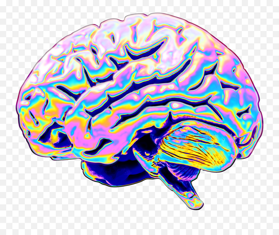 Vaporwave Wallpaper - Parietal Lobe Of The Brain Png,Vaporwave Transparent Png