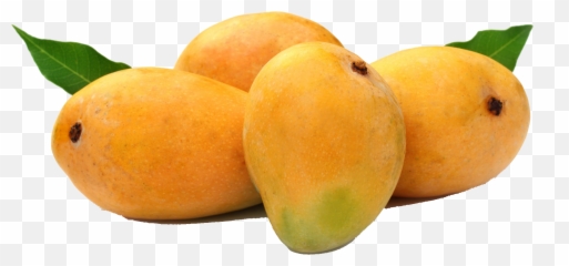 Rotten mango fruit isolated 22207308 PNG