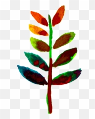 Sugi - Flower png