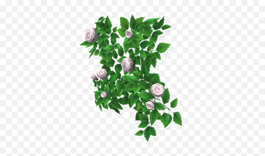 White Rose Trellis Garden Paws Wiki Fandom - Floral Png,White Rose Transparent