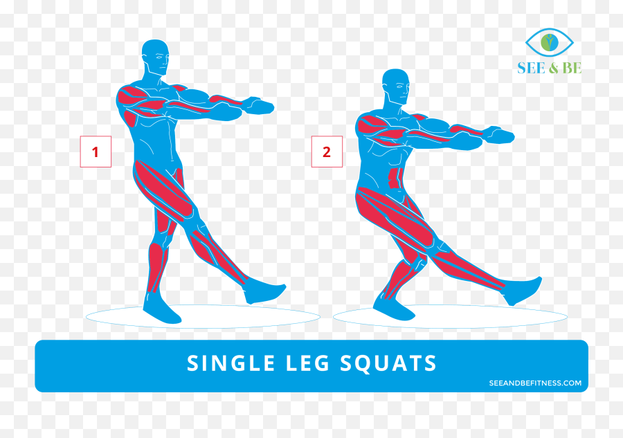 Clipart Exercise Squat Picture 492463 - Bicycle Crunches Muscle Group Png,Squat Png