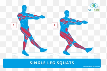 Clipart Exercise Squat Picture 492463 - Bicycle Crunches Muscle Group Png,Squat Png