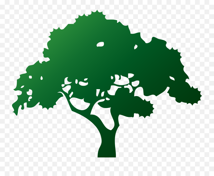 Ecology Environment Tree Drawing - Pohon Cdr Png,Tree Drawing Png