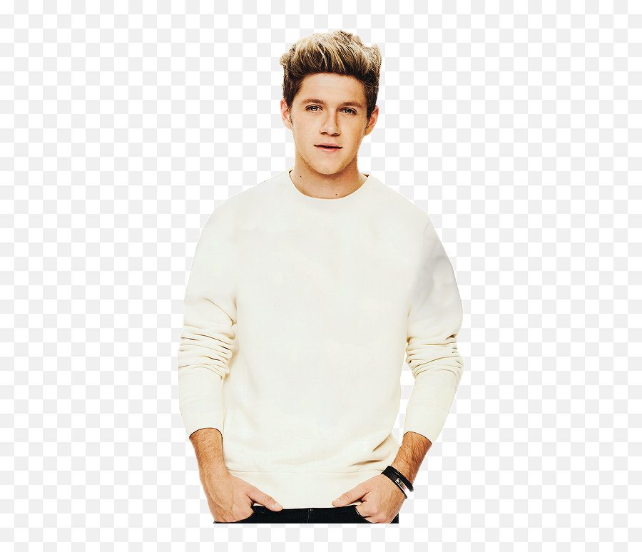 Png Niall Horan 6 Image - Standing,Niall Icon