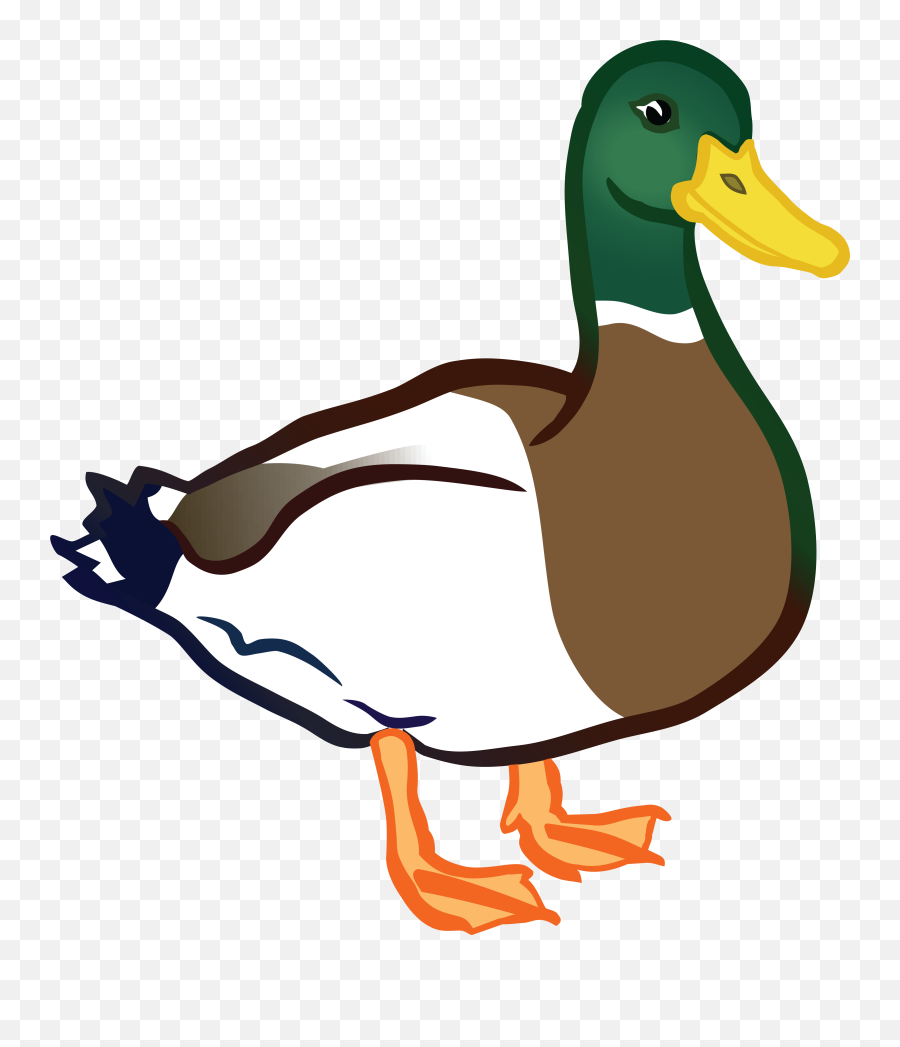 Duck Clipart Png Image - Duck Clipart,Duck Clipart Png