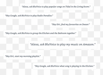 Pulse 2i - Bluesound Language png