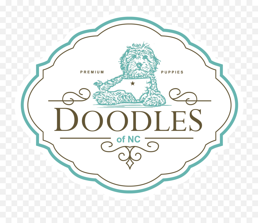Introducing New 2018 Goldendoodle Puppy Moms - Dj Khaled Png,Icon Doodle Helmet