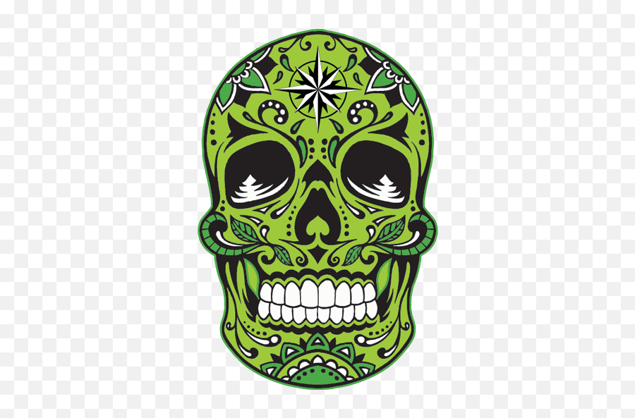 Cropped - Skullfavicon512pxpng U2013 Motiv Fishing Sugar Skull Vector Icon,Fav Icon Size